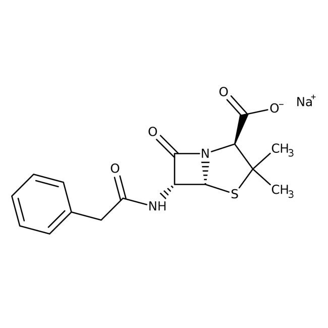 Penicillin-G sodium salt, from Penicillium fungi 5g Bioreagents