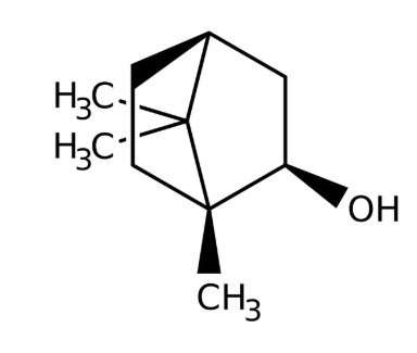DL-Isoborneol 93% tech 25g Acros