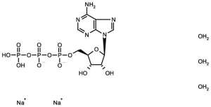 Adenosine 5`-Triphosphate Disodium Salt Trihydrate 25g Bioreagents