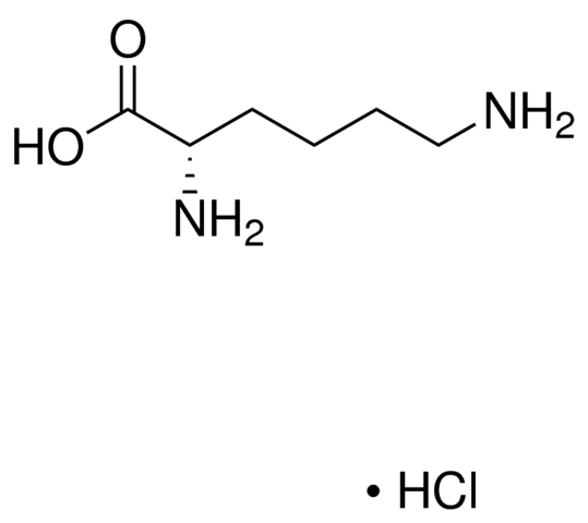 L(+)-Lysine Monohydrochloride ≥99%, 250g Acros