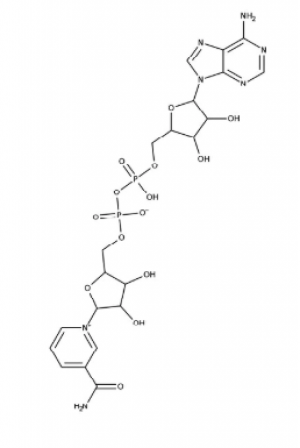 β-Nicotinamide adenine dinucleotide hydrate 98+%, 5g Acros
