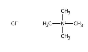Tetramethylammonium chloride, 98+% 100g Acros