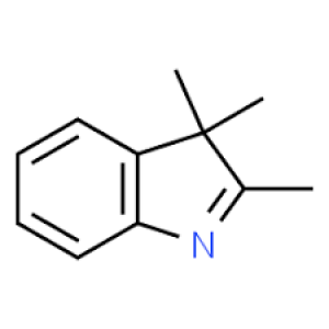 2,3,3-Trimethylindolenine, 98% 25g Acros