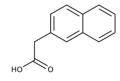 2-Naphthylacetic acid 99%, 25g Acros
