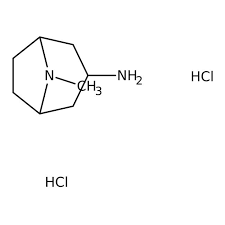 8-Methyl-8-azabicyclo[3.2.1]octan-3-amine dihydrochloride, 90% 1g Maybridge