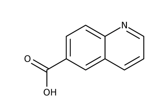 Quinoline-6-carboxylic acid, 97% 1g Maybridge
