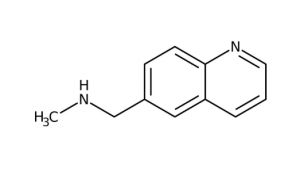 N-Methyl-N-(quinolin-6-ylmethyl)amine, 95% 250mg Maybridge