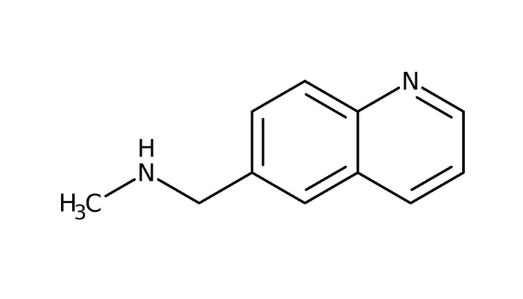 N-Methyl-N-(quinolin-6-ylmethyl)amine, 95% 1g Maybridge