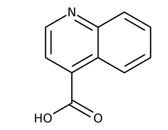 Quinoline-4-carboxylic acid, 97% 5g Maybridge