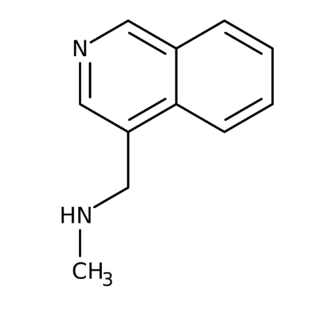 N-Methyl-(isoquinolin-4-ylmethyl)amine, 97% 1g Maybridge