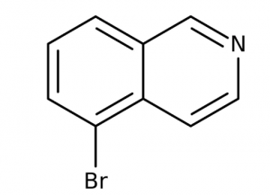 5-Bromoisoquinoline, 95% 1g Maybridge