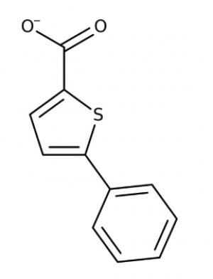 5-Phenylthiophene-2-carboxylic acid 95+%, 250mg Maybridge