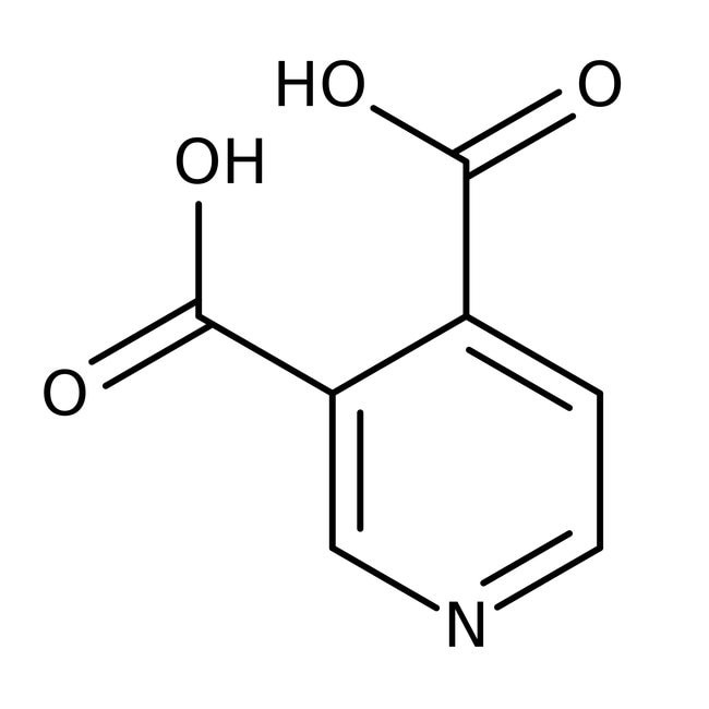 3,4-Pyridinedicarboxylic acid, 97%, 25g Acros
