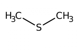 Methyl sulfide 99+% extra pure, 1l Acros