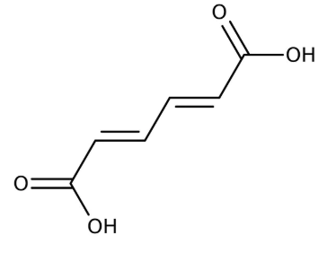 trans,trans-Muconic acid 97%, 1g Acros