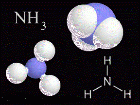 Cấu trúc phân tử của amoniac