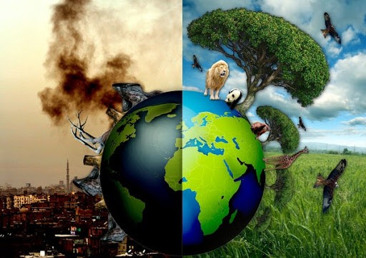 Biện pháp nào giúp bảo vệ môi trường tự nhiên hiệu quả?
