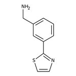 [3-(1,3-Thiazol-2-yl)phenyl]methylamine, 97% 1g Maybridge