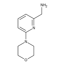(6-morpholinopyrid-2-yl)methylamine, 95% 1g Maybridge