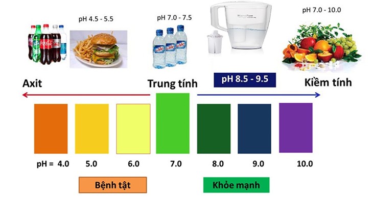 Độ pH ảnh hưởng đến sức khỏe, đời sống của con người