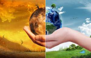 Thực trạng biến đổi khí hậu và các giải pháp khắc phục hiệu quả nhất