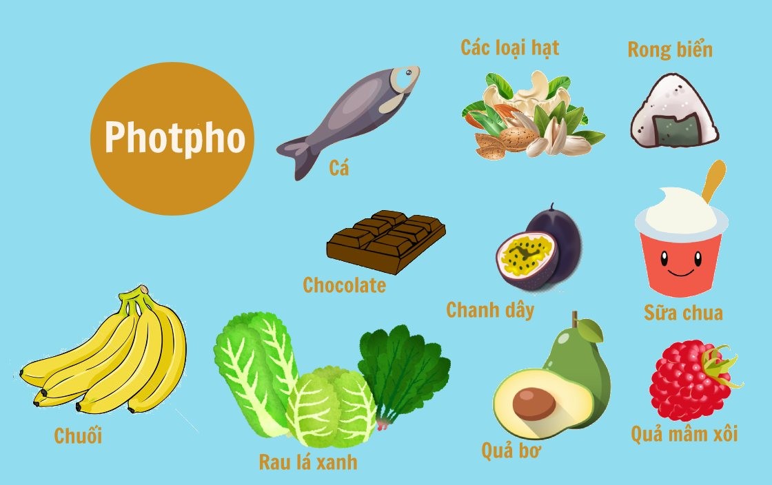 Một số loại thực phẩm chứa photpho