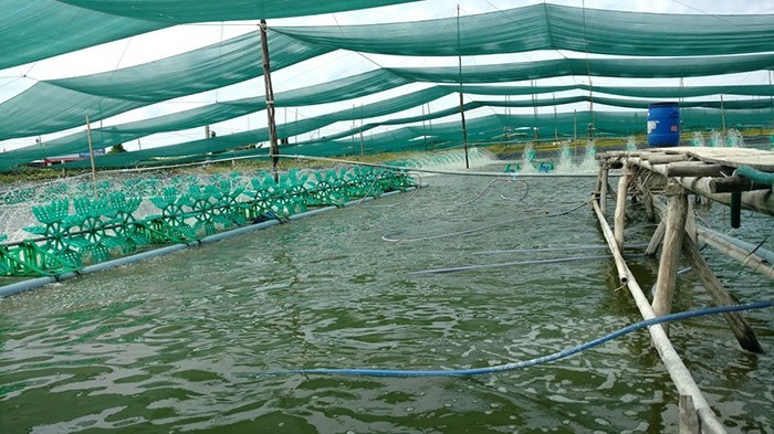 Mua hóa chất xử lý nước nuôi tôm tại VietChem