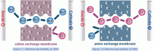 Quá trình trao đổi hạt anion