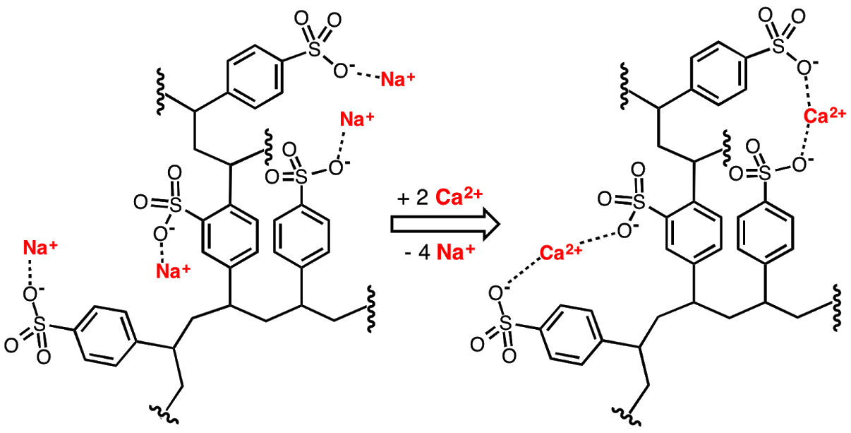 Quá trình trao đổi của hạt cation
