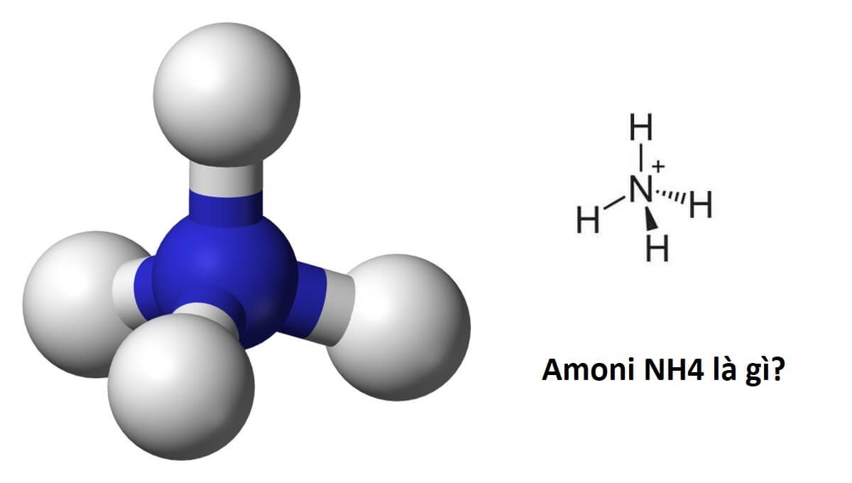 Amoni là gì? Các muối amoni là gì? Cấu tạo phân tử của NH4