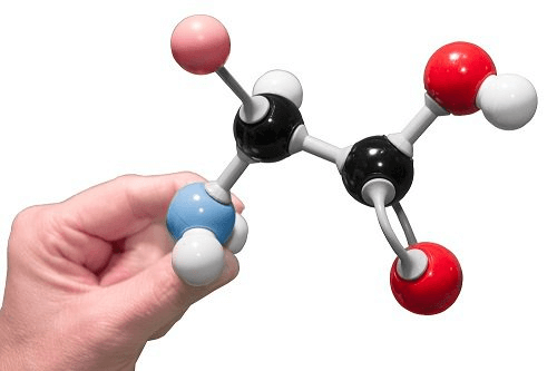 Axit amin là gì