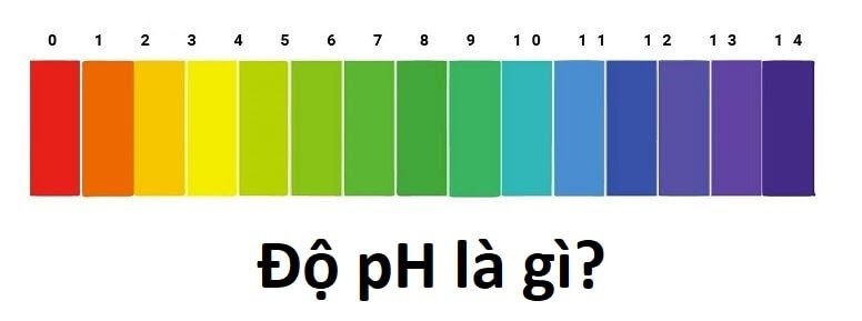 Độ pH là gì