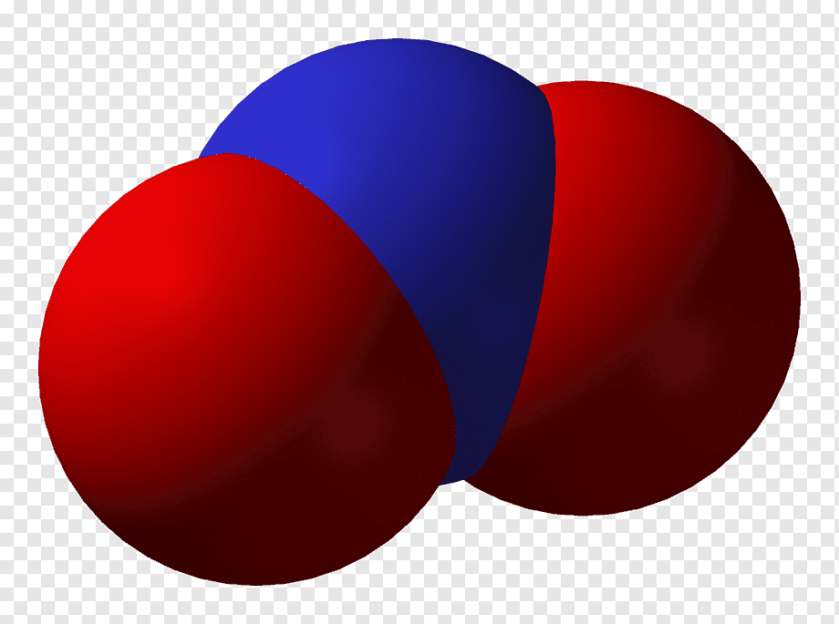 Nitơ đioxit và Nitrit là những tên gọi khác của NO2, bạn có thể cho biết sự khác nhau giữa chúng không?
