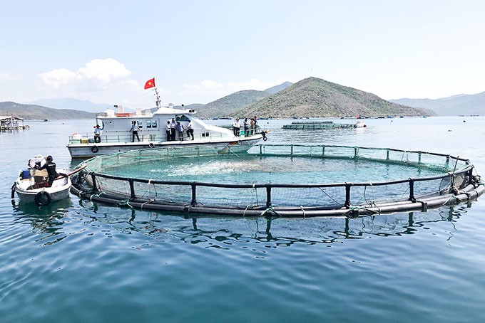 PAC góp phần thúc đẩy năng suất nuôi trồng thủy hải sản