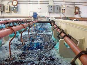 Tổng quan về quy trình xử lý nước thải xi mạ