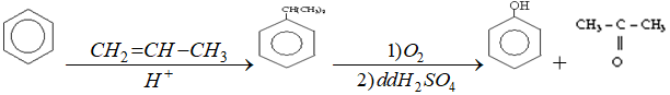 phenol-1