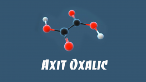 Axit oxalic - Đặc điểm, ứng dụng, cách sử dụng hiệu quả