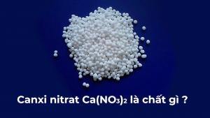 Canxi nitrat là chất gì? Ứng dụng của Ca(NO3)2 trong sản xuất