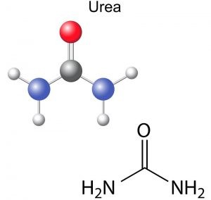 Công thức hóa học của phân Urê