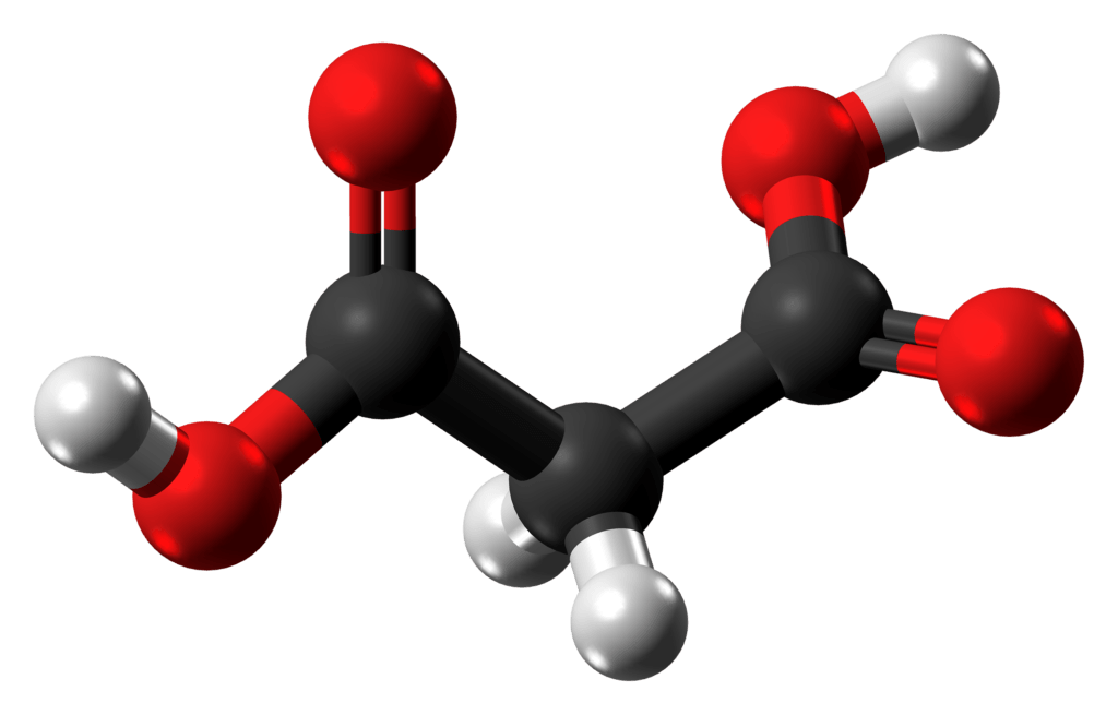 axit-malonic-2