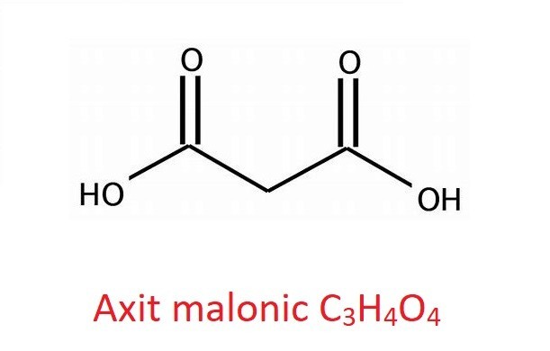 axit-malonic-la-gi-1