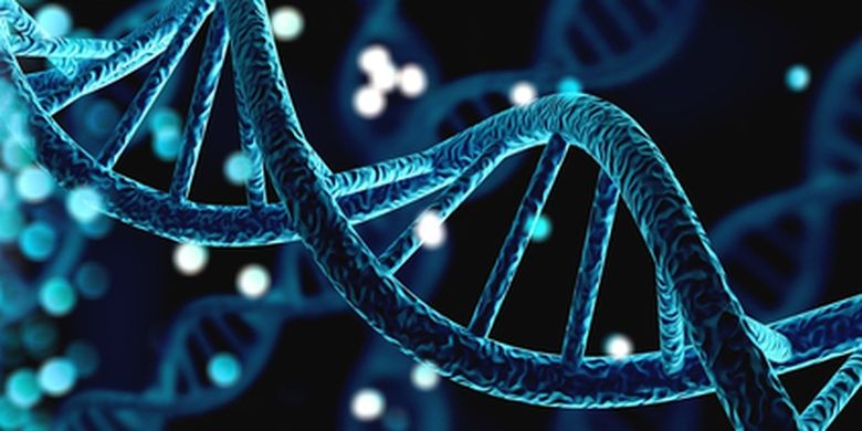 Axit panmitic có vai trò quan trọng trong việc sản sinh DNA