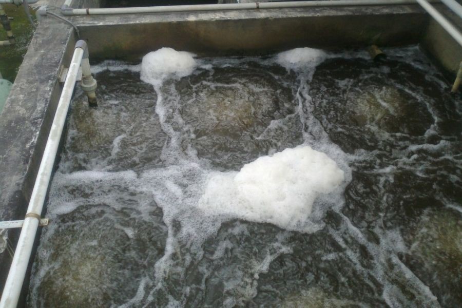 Axit sunfuric được dùng trong quy tình xử lý nước thải công nghiệp