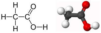  Cấu tạo phân tử của CH3COOH axit axetic