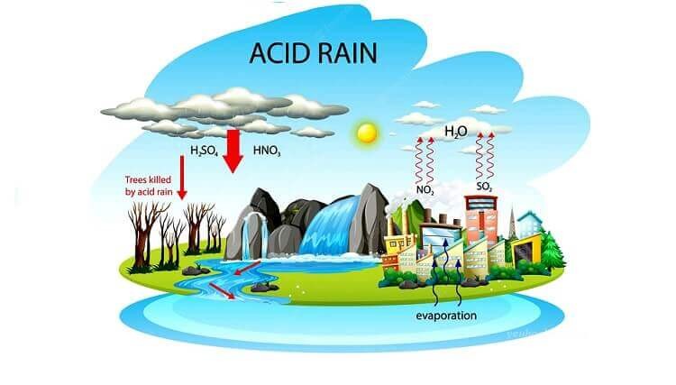 Mưa axit là gì? Ảnh hưởng của mưa axit đến đời sống con người