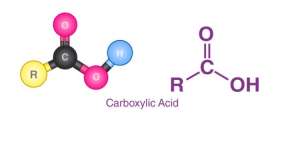 Những thông tin cơ bản về acid carboxylic