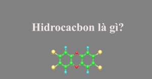 Hiđrocacbon là gì? Tổng hợp kiến thức về hiđrocacbon