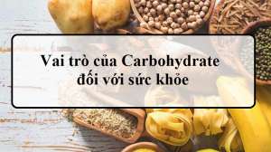 Vai trò của carbohydrate với cơ thể