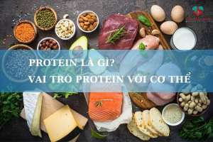 Vai trò của protein đối với cơ thể người